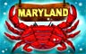 Maryland Badge
Word Search Daily
Oct 2, 2008