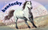 Kentucky Badge
Word Search Daily
