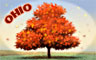 Ohio Badge
Word Search Daily
Oct 19, 2008
