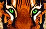 Royal Tiger Badge
Jungle Gin