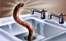 The Persistent Snakes Badge
Jigsaw Detective
Nov 16, 2008
