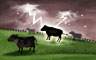 Case of the Summer Storms Badge
Jigsaw Detective
Nov 17, 2008
