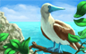 Booby Badge
Tri-Peaks Solitaire