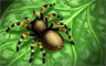 Tarantula Badge
Tri-Peaks Solitaire
Aug 8, 2008