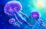 Jellyfish Badge
Squelchies
Aug 23, 2008