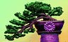 Bonsai Badge
Pop Fu
Aug 22, 2008