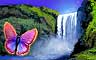 Butterfly Badge
Jungle Gin