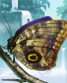 Owl Butterfly Badge
Jungle Gin
Sep 27, 2008